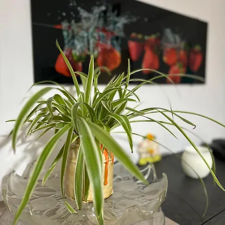 Vivi Aguilera Appartement *