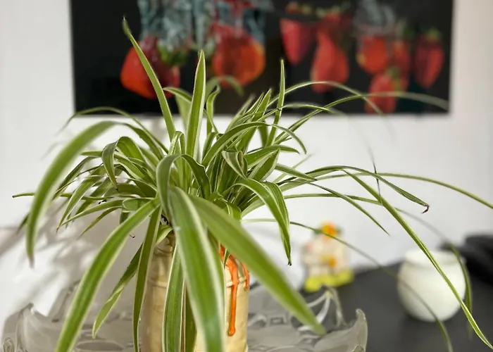 Vivi Aguilera アパート *